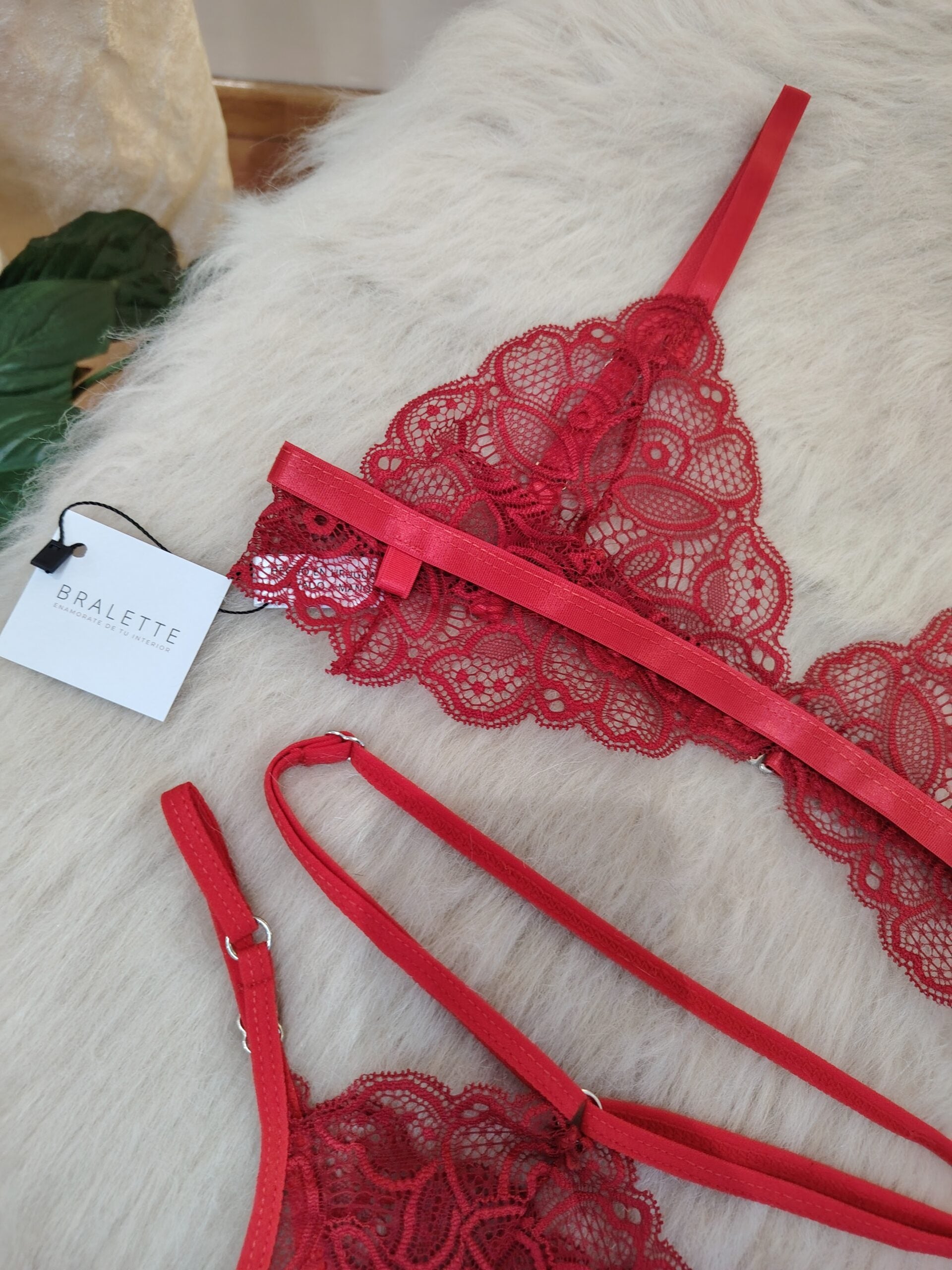 Conjunto Gia Rojo