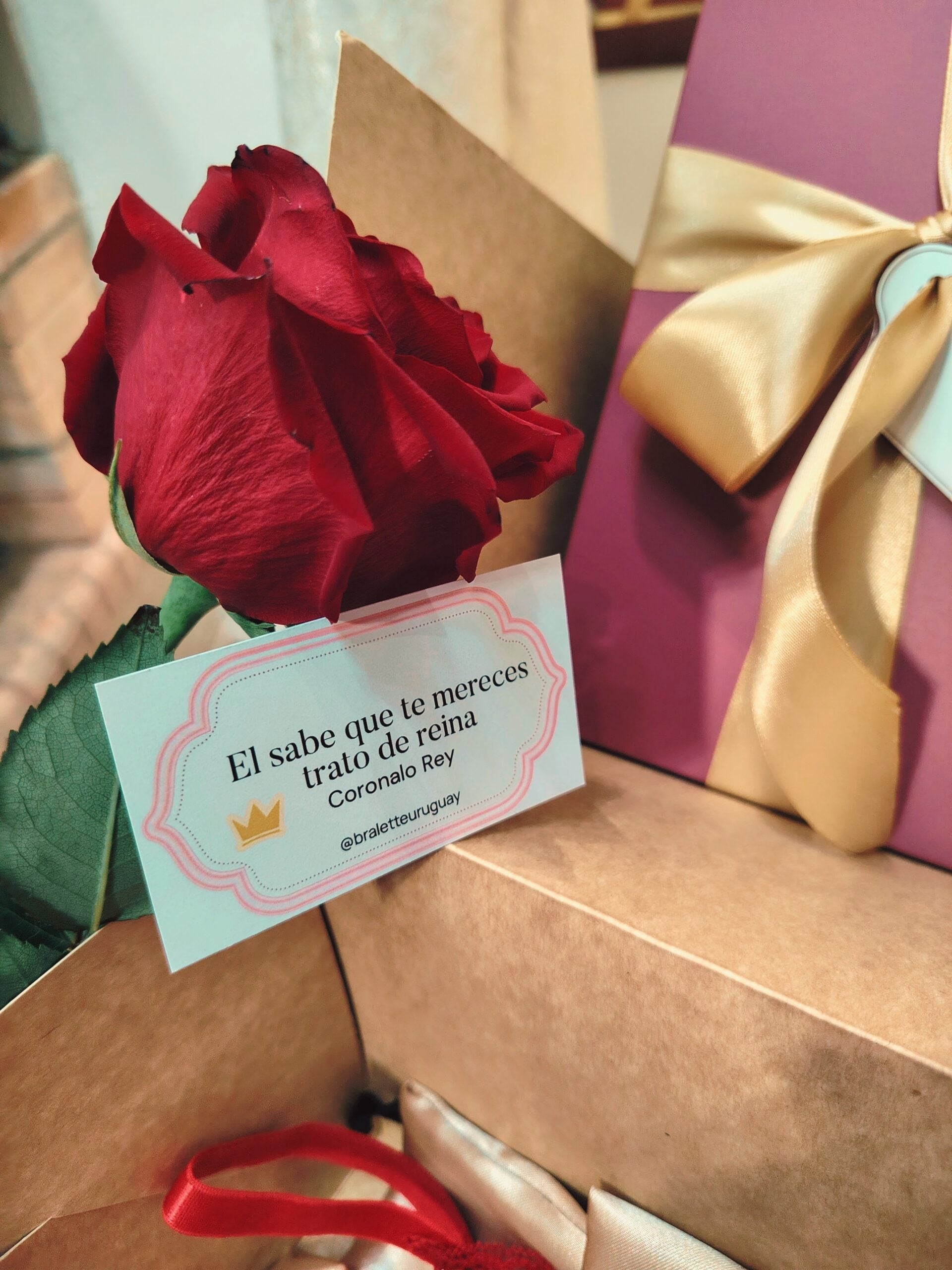 THE BRALETTE LUXURY BOX | Edición Body